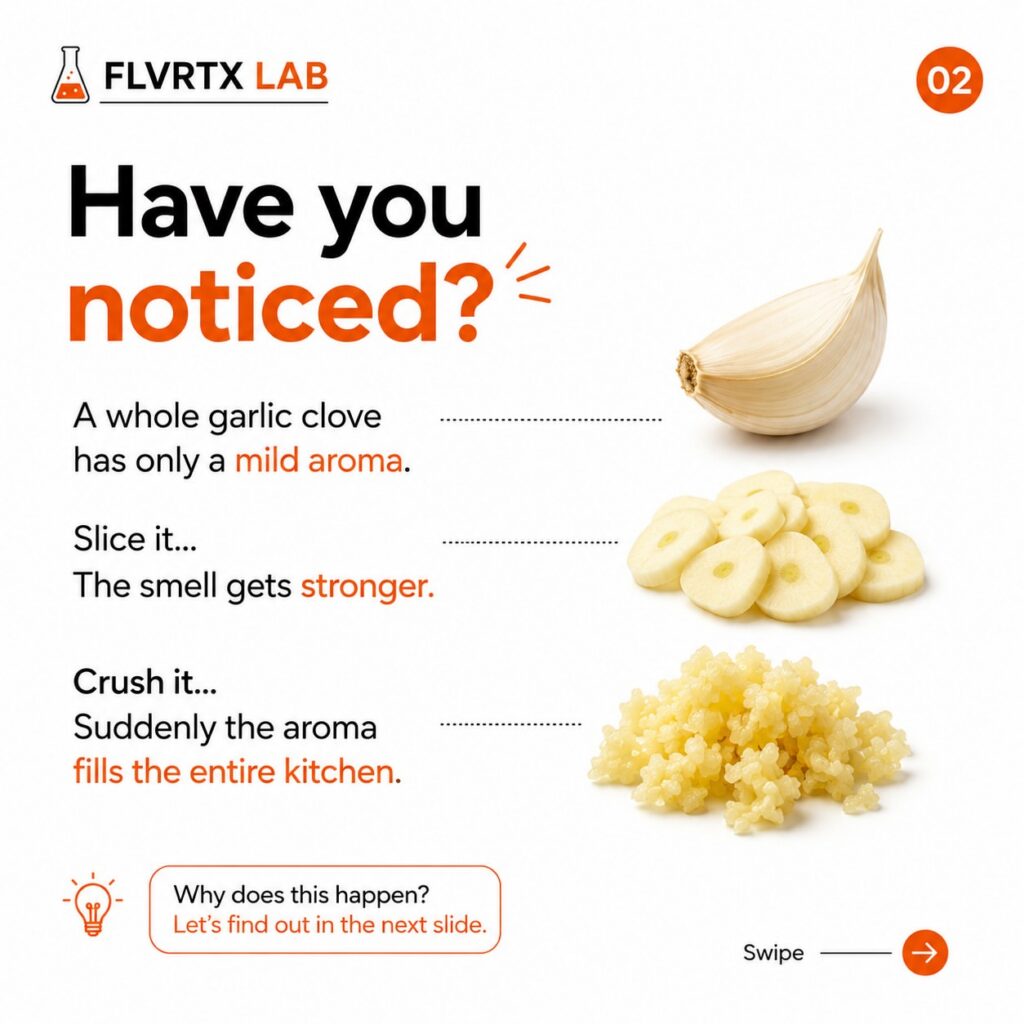 Whole, sliced and crushed garlic showing changes in aroma